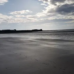 Lambay Island - Skerries