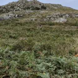 Lambay Island - Skerries