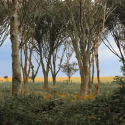 Lambay Island - Skerries