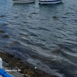 Skerries Harbour - Skerries