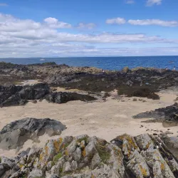 Skerries Harbour - Skerries