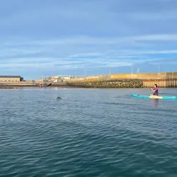 Skerries Harbour - Skerries