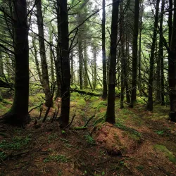 Benbulben Mountain - Sligo