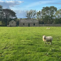 Benbulben Mountain - Sligo