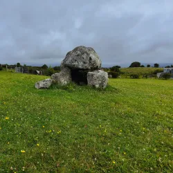 Carrowmore Megalithic Cemetery - Sligo