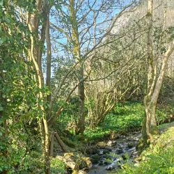Glencar Waterfall - Sligo