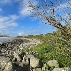 Mullaghmore Head - Sligo