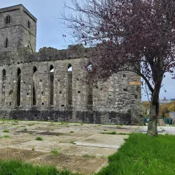 Sligo Abbey - Sligo