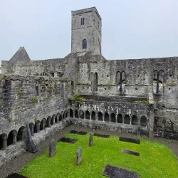 Sligo Abbey - Sligo