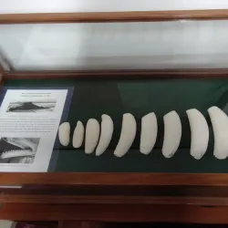 Sligo County Museum - Sligo