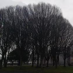 Tallaght Village - Tallaght