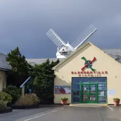 Blennerville Windmill - Tralee
