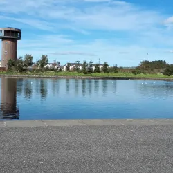 Tralee Bay Wetlands Visitor Centre - Tralee