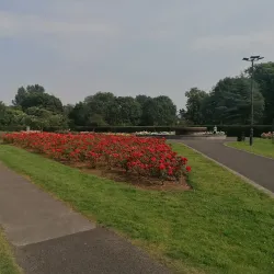 Tralee Town Park - Tralee