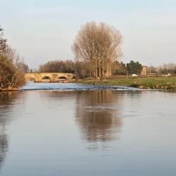 Boyne River Walk - Trim