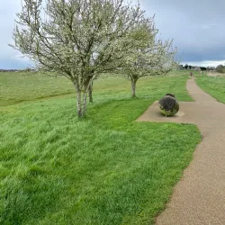 Boyne River Walk - Trim