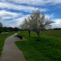 Boyne River Walk - Trim