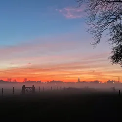 Boyne River Walk - Trim