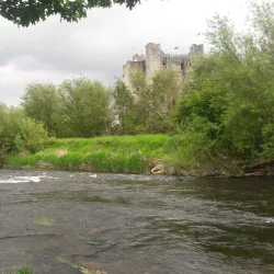 Boyne River Walk - Trim