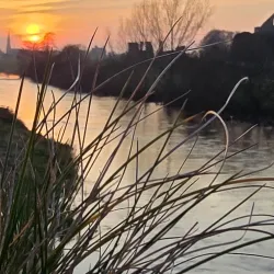 Boyne River Walk - Trim