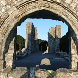 Newtown Abbey - Trim