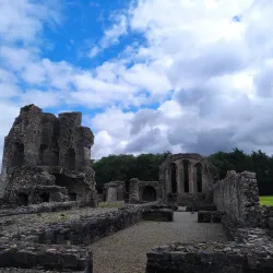 Newtown Abbey - Trim