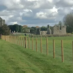 Newtown Abbey - Trim