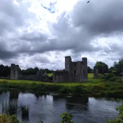 Newtown Abbey - Trim