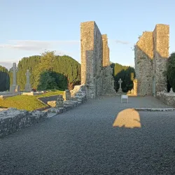 Newtown Abbey - Trim