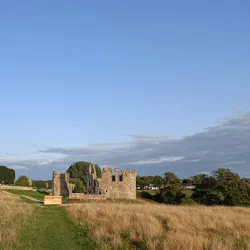 Newtown Abbey - Trim