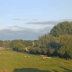 Newtown Abbey - Trim