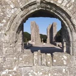 Newtown Abbey - Trim
