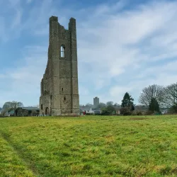 The Yellow Steeple - Trim
