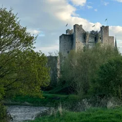 The Yellow Steeple - Trim