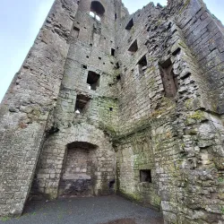 The Yellow Steeple - Trim