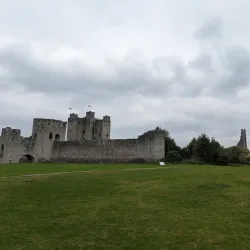 The Yellow Steeple - Trim