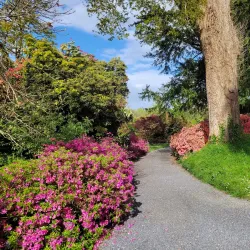 Mount Congreve Gardens - Waterford