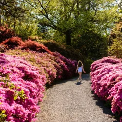 Mount Congreve Gardens - Waterford