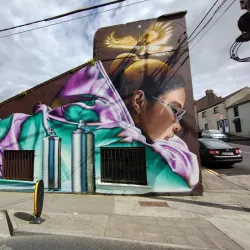 Waterford City Walls - Waterford