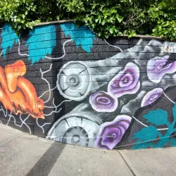 Waterford City Walls - Waterford