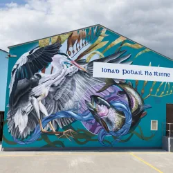 Waterford City Walls - Waterford