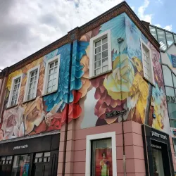 Waterford City Walls - Waterford