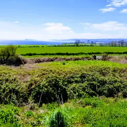Waterford Greenway - Waterford