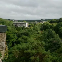 Waterford Greenway - Waterford