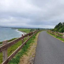 Waterford Greenway - Waterford