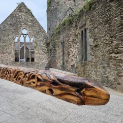 Waterford Treasures Medieval Museum - Waterford