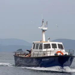 Skellig Michael (via boat tours) - Waterville