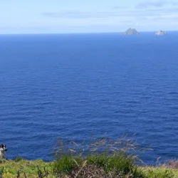 Skellig Ring Drive - Waterville