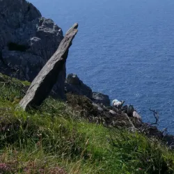 Skellig Ring Drive - Waterville