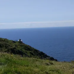 Skellig Ring Drive - Waterville